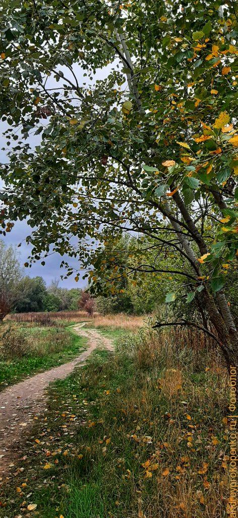 Тропинка в осеннем лесу