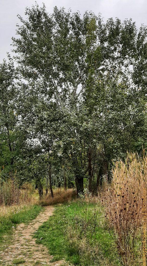 В поисках Пятигорской осени