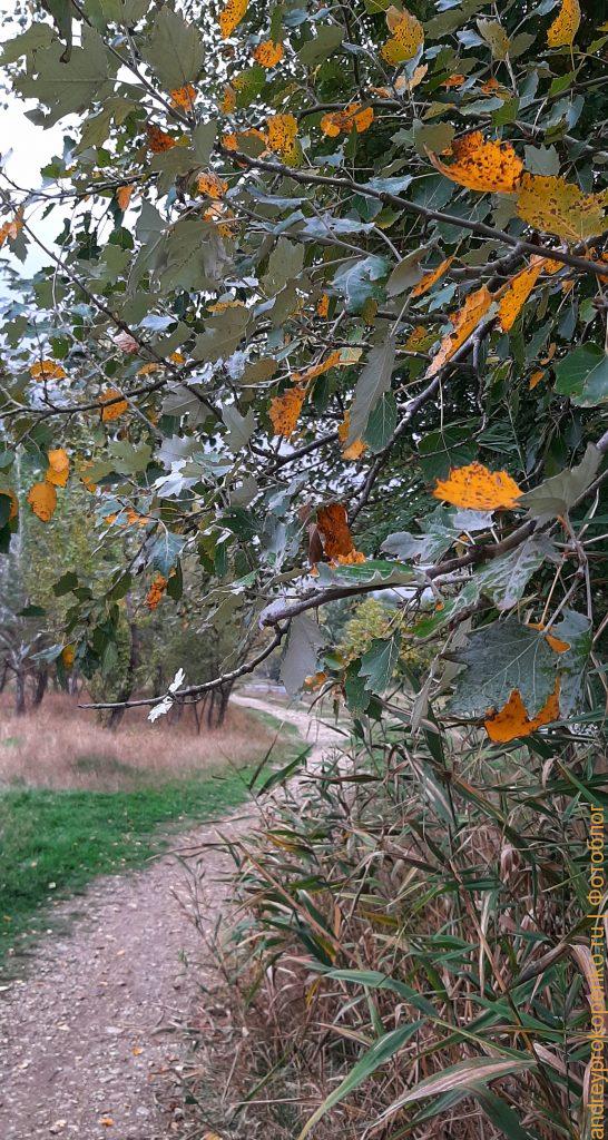 В поисках Пятигорской осени