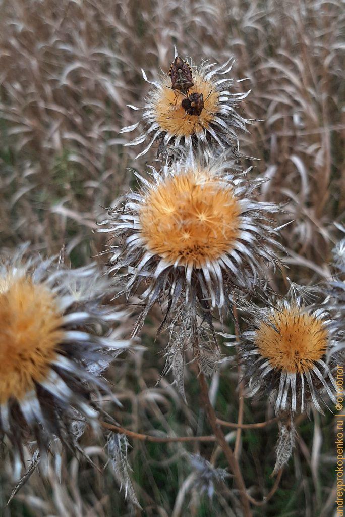 В поисках Пятигорской осени