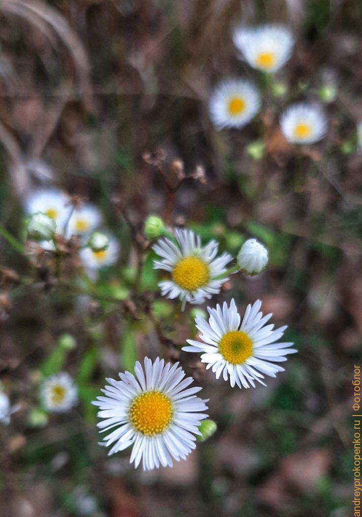 В поисках Пятигорской осени