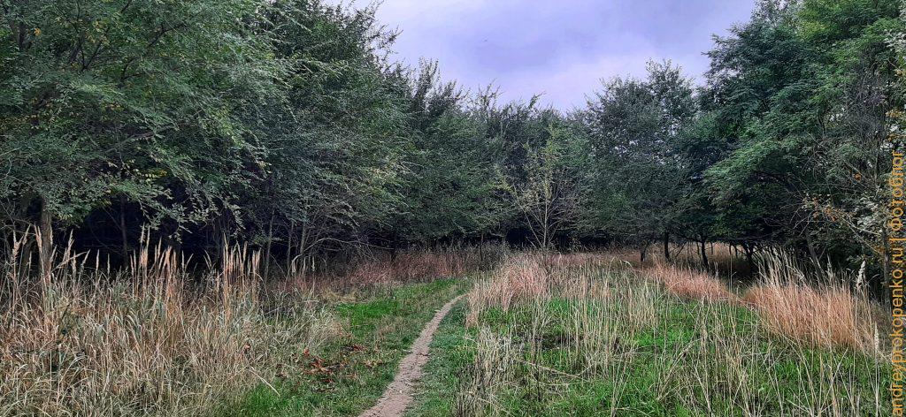 В поисках Пятигорской осени