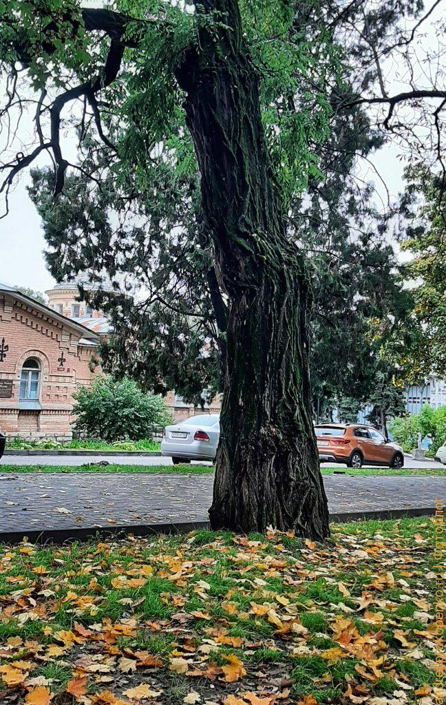 Прогулка по осеннему Пятигорску