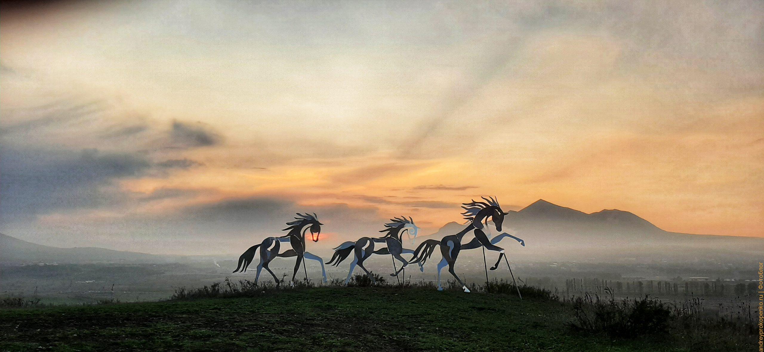 Купить фотографии