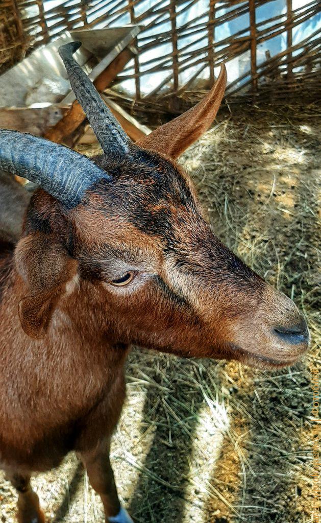 Поездка в туркомплекс Медовые водопады в Карачаево-Черкессии