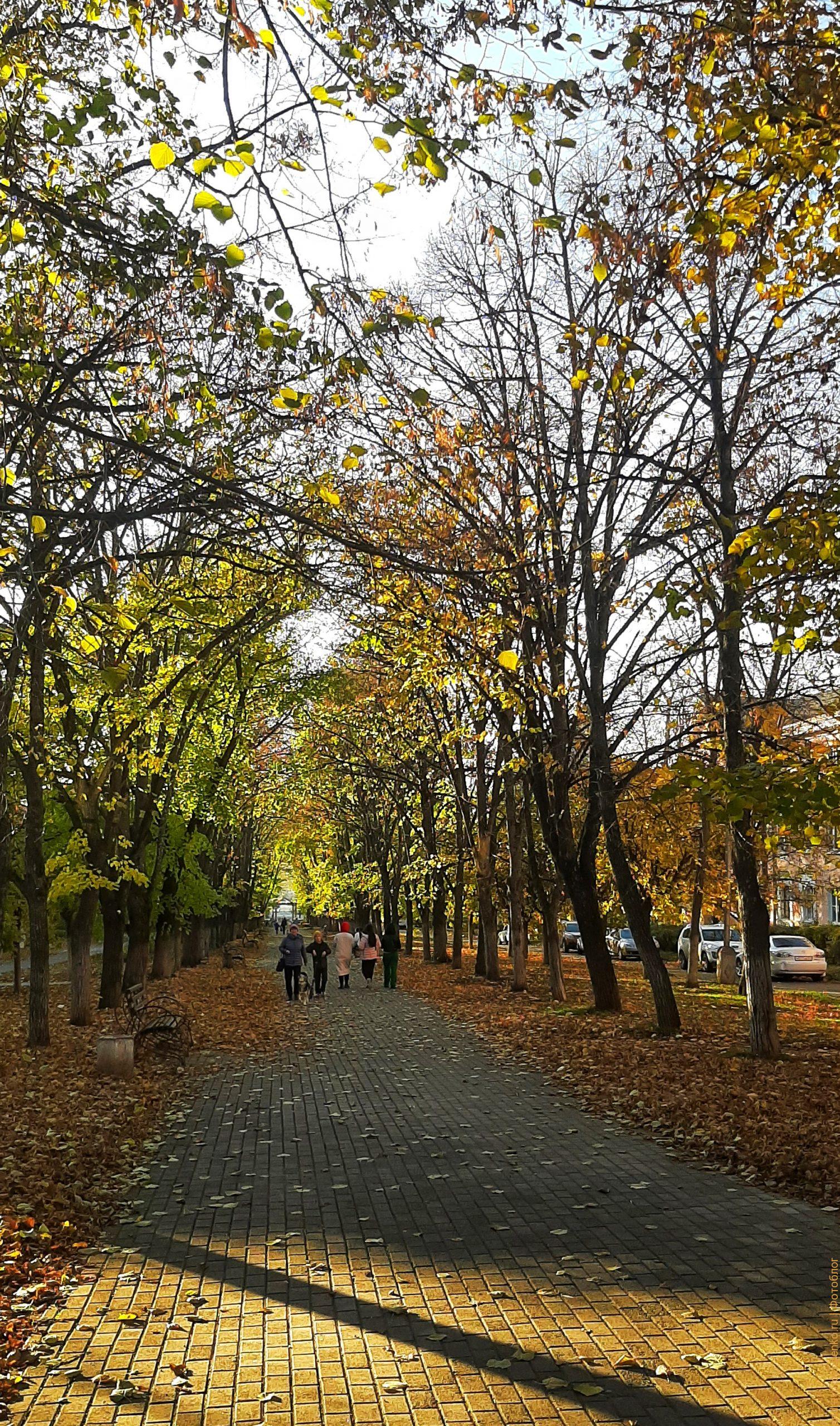 Красивая осень в Лермонтове