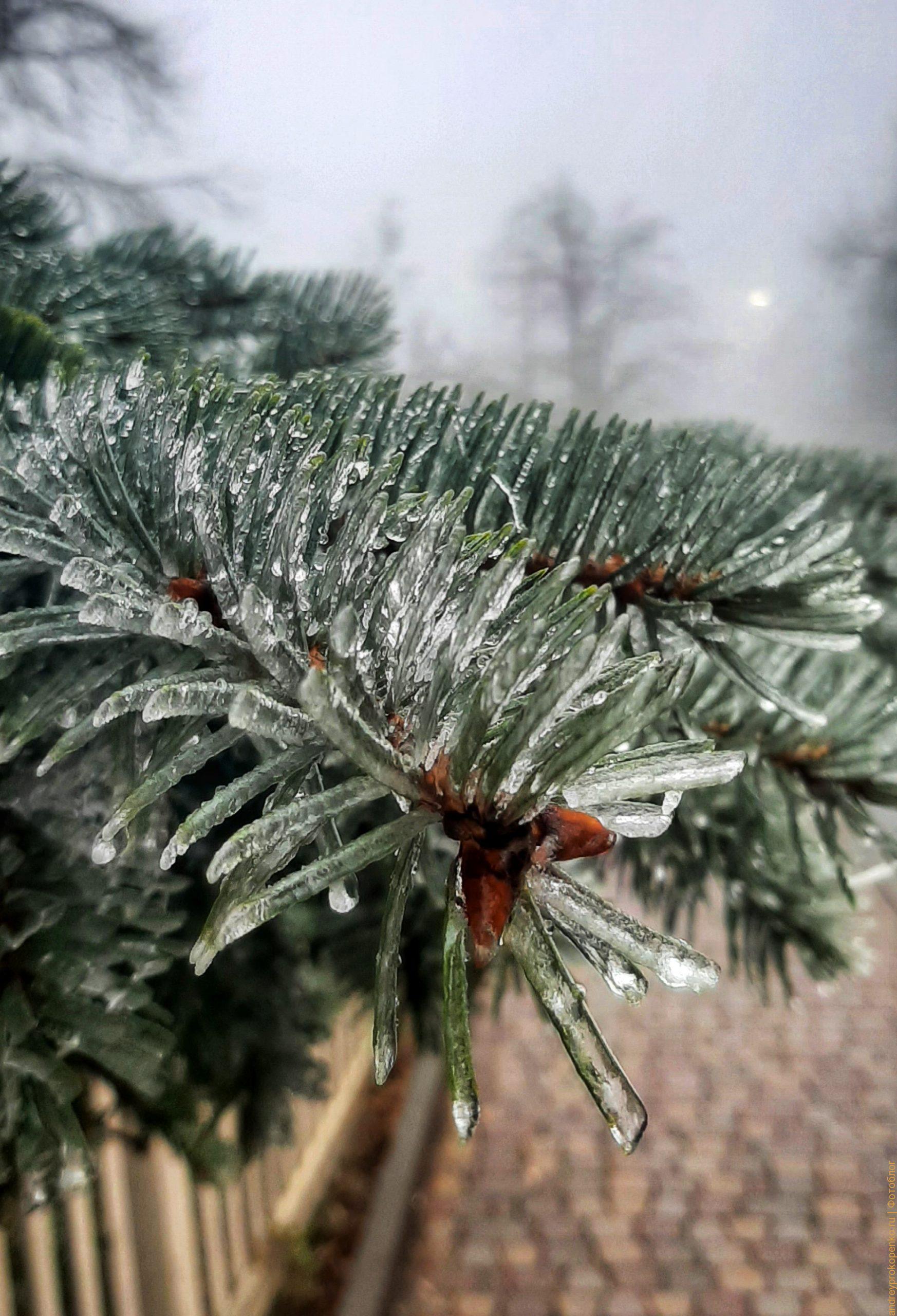 Прогулка по зимнему Пятигорску