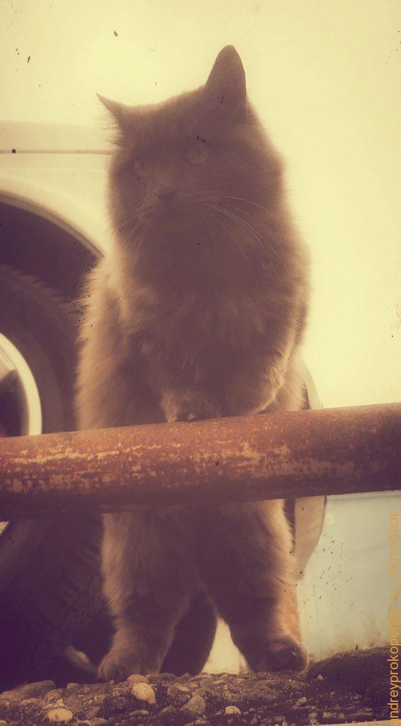 Ретрофотографии Пятигорска и его окрестностей