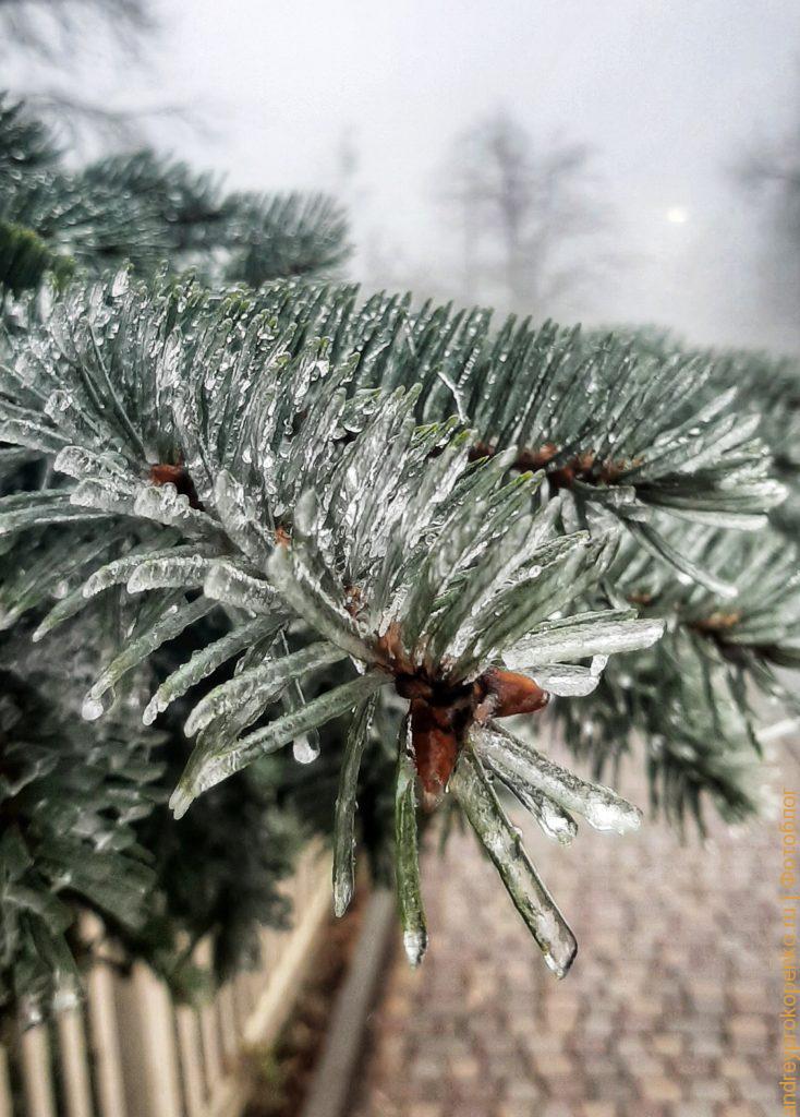 Ёлочные, новогодние, мотивы в Пятигорске