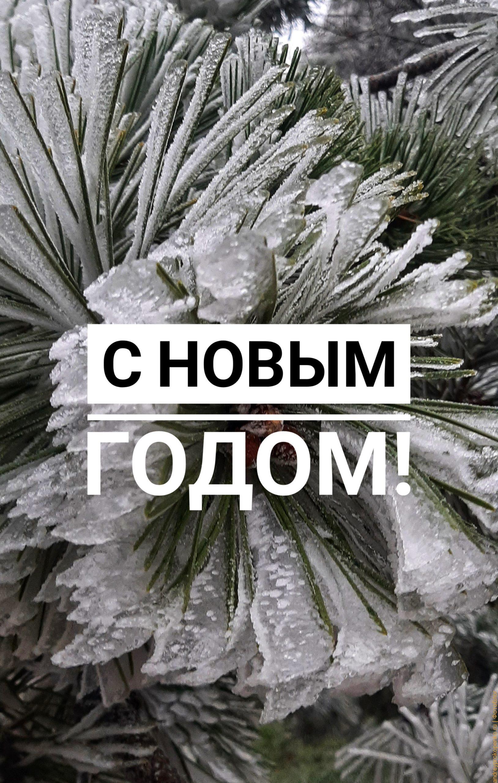 Скачать открытку "С Новым годом!"