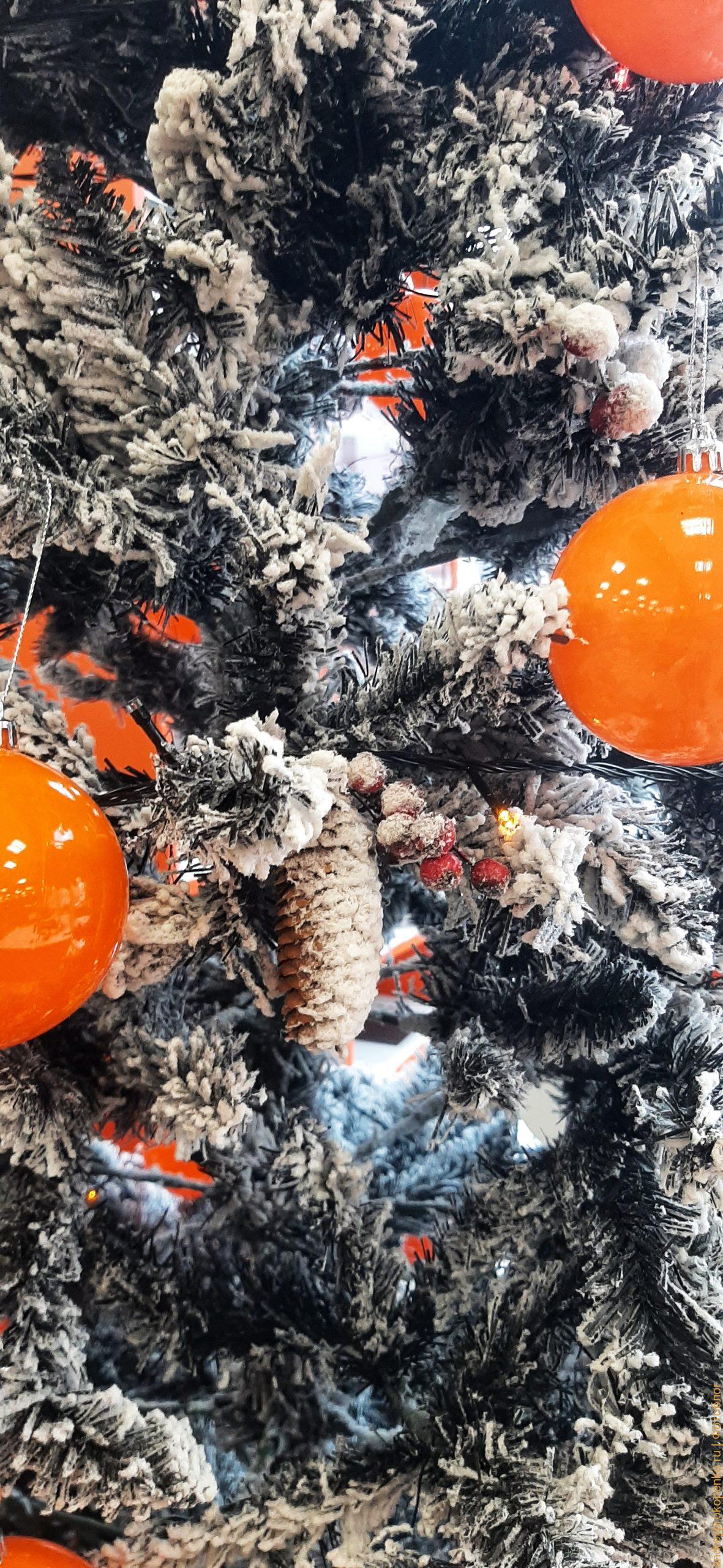 Ёлочные, новогодние, мотивы в Пятигорске