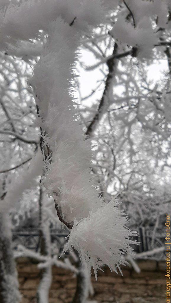 Зимняя красота в Пятигорске. Парк Цветник