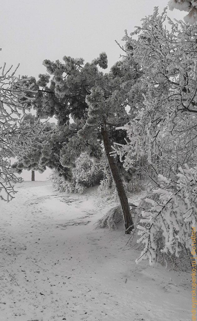 Зимняя красота в Пятигорске. Парк Цветник