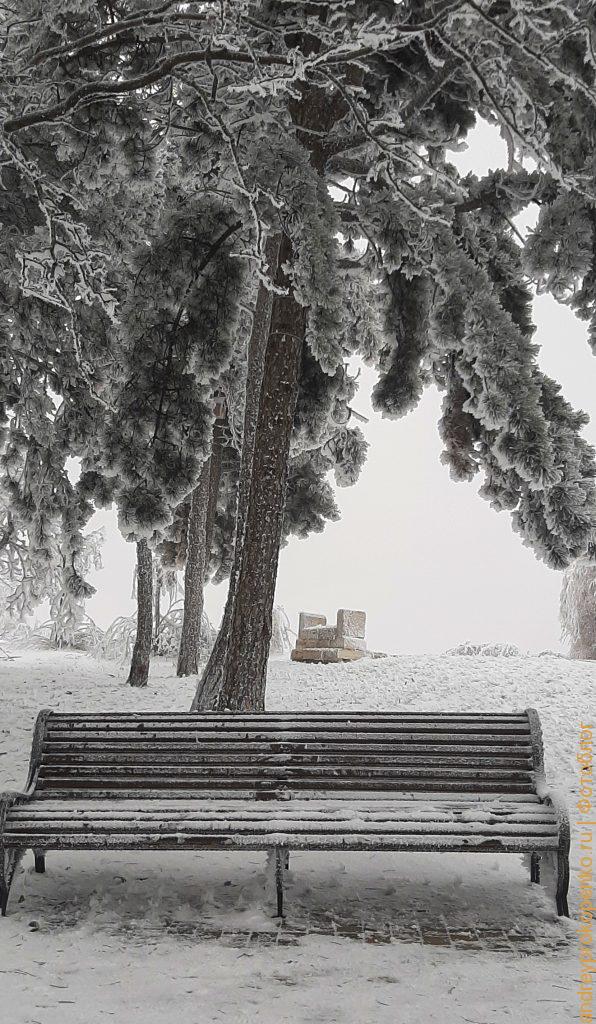 Зимняя красота в Пятигорске. Парк Цветник