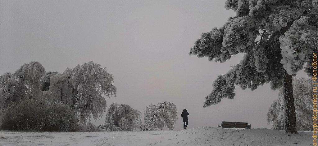 Зимняя красота в Пятигорске. Парк Цветник