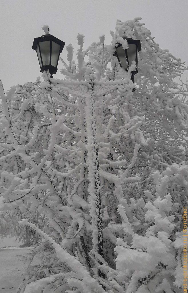 Зимняя красота в Пятигорске. Парк Цветник