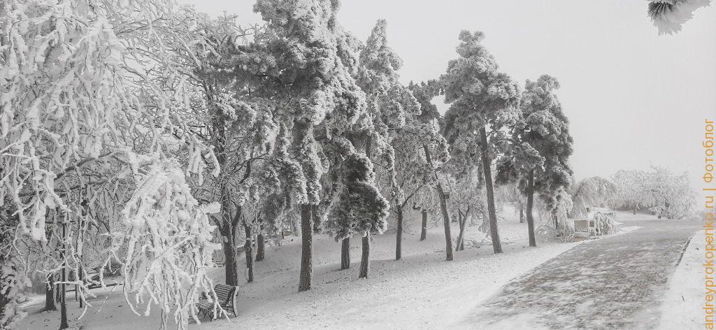 Зимняя красота в Пятигорске. Парк Цветник