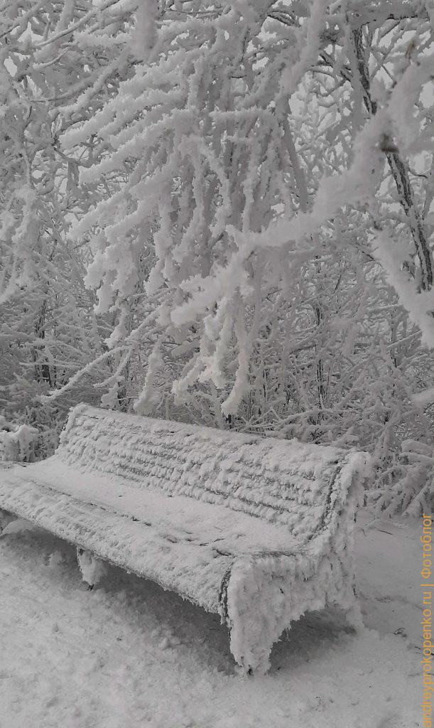 Зимняя красота в Пятигорске. Парк Цветник