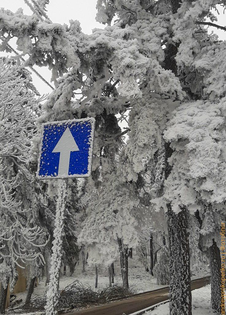 Зимняя красота в Пятигорске. Парк Цветник