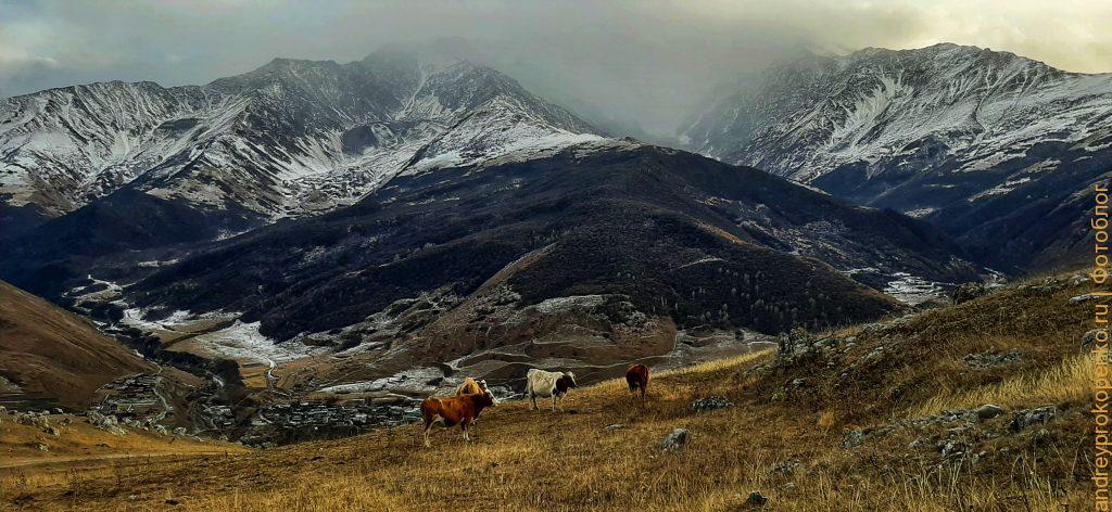 Поездка к древностям Северной Осетии. Старинное село Цмити