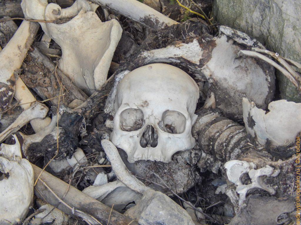 Северная Осетия. Фиагдон. Башни и горы. Фото с фотоаппарата