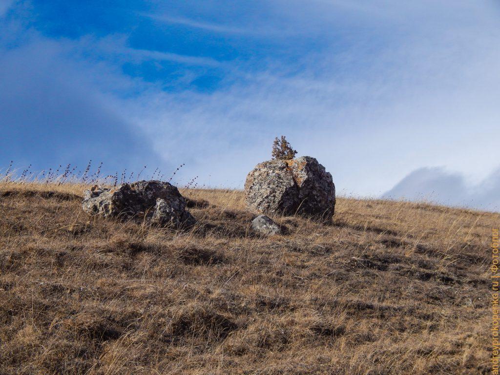 Северная Осетия. Фиагдон. Башни и горы. Фото с фотоаппарата