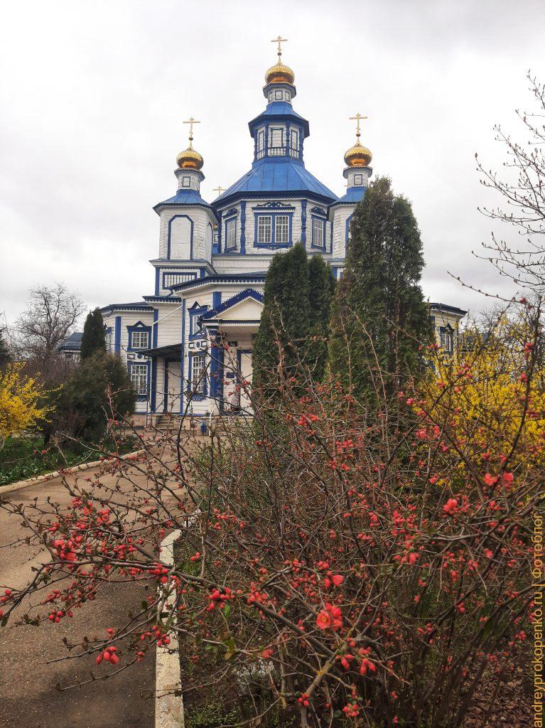 Цветущие весной деревья в регионе КМВ