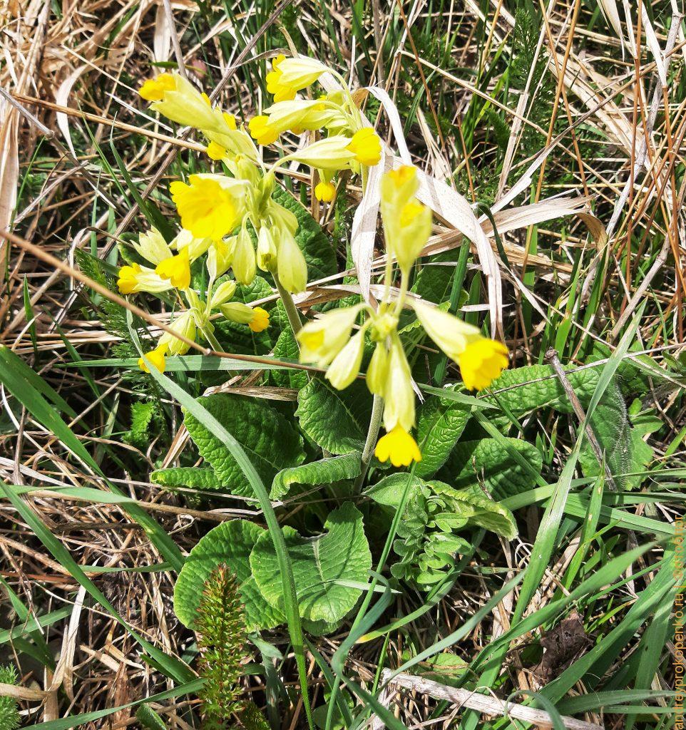 На вершине горы Машук в Пятигорске