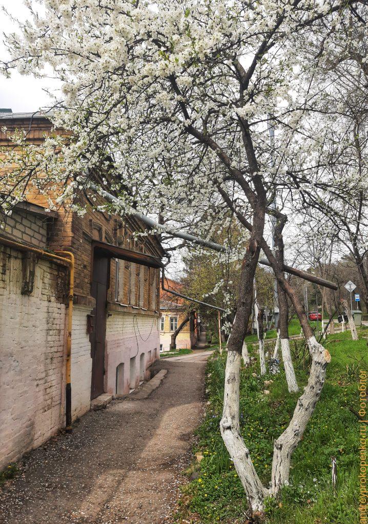 На вершине горы Машук в Пятигорске