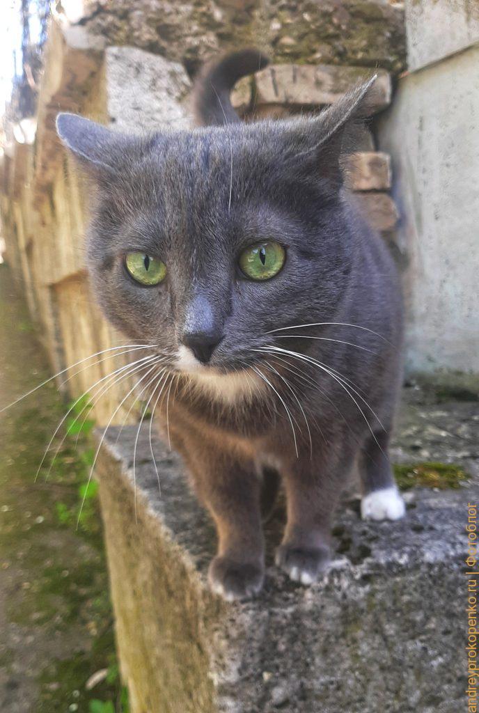 Прогулка по весеннему Пятигорску. В поисках хорошего кадра