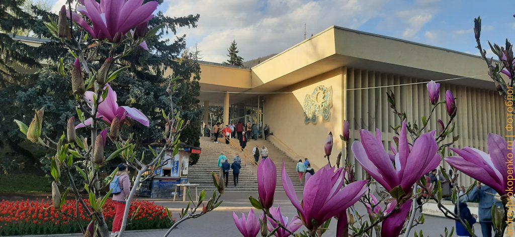 Прогулка по весеннему Пятигорску. В поисках хорошего кадра