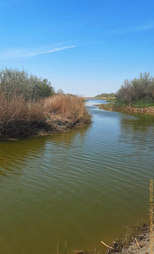 Весенняя рыбалка в Калмыкии. Магойский банк