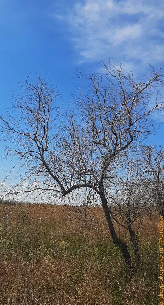 Весенняя рыбалка в Калмыкии. Магойский банк