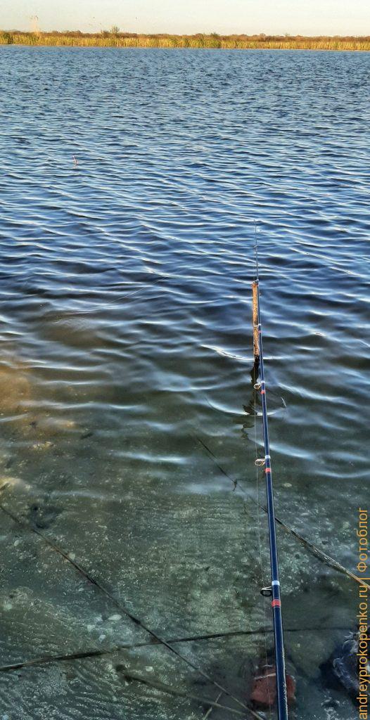 Весенняя рыбалка в Калмыкии. Магойский банк