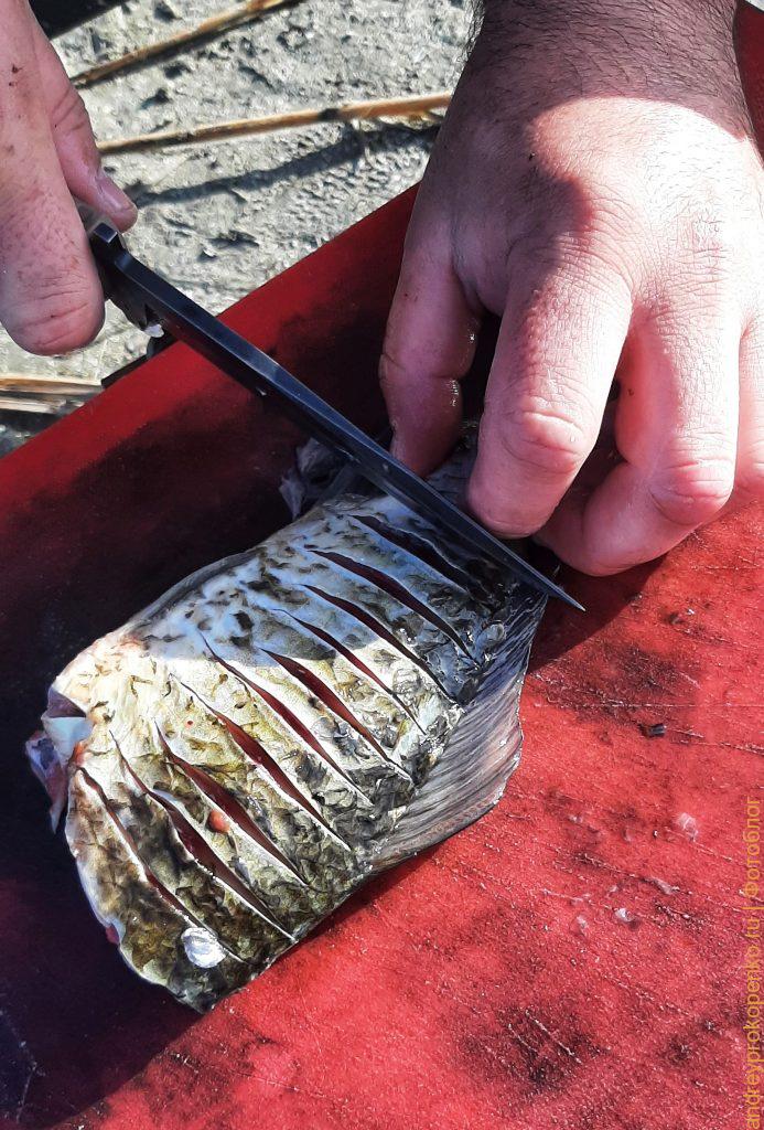 Готовим вкуснейшую уху на рыбалке в Калмыкии
