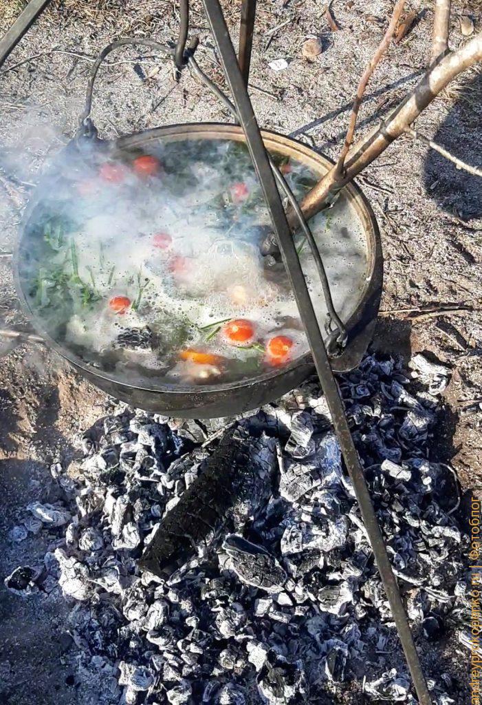 Готовим вкуснейшую уху на рыбалке в Калмыкии