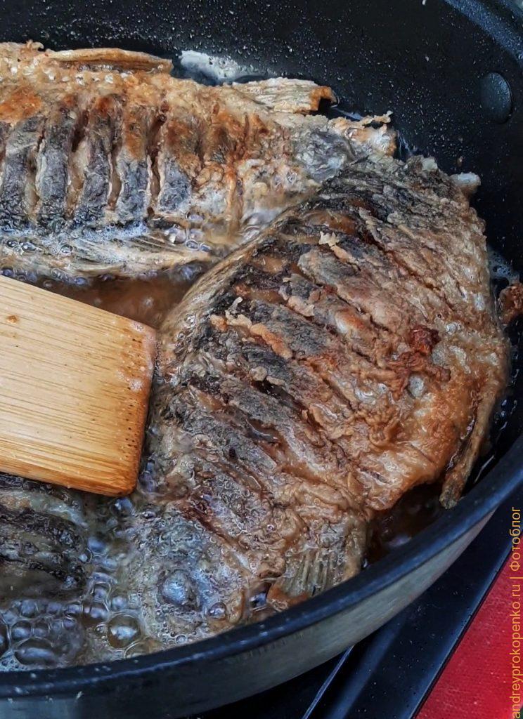 Готовим вкуснейшую уху на рыбалке в Калмыкии