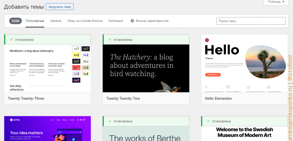 Свой сайт для бизнеса. Настройка Wordpress. Установка шаблона. ч.3