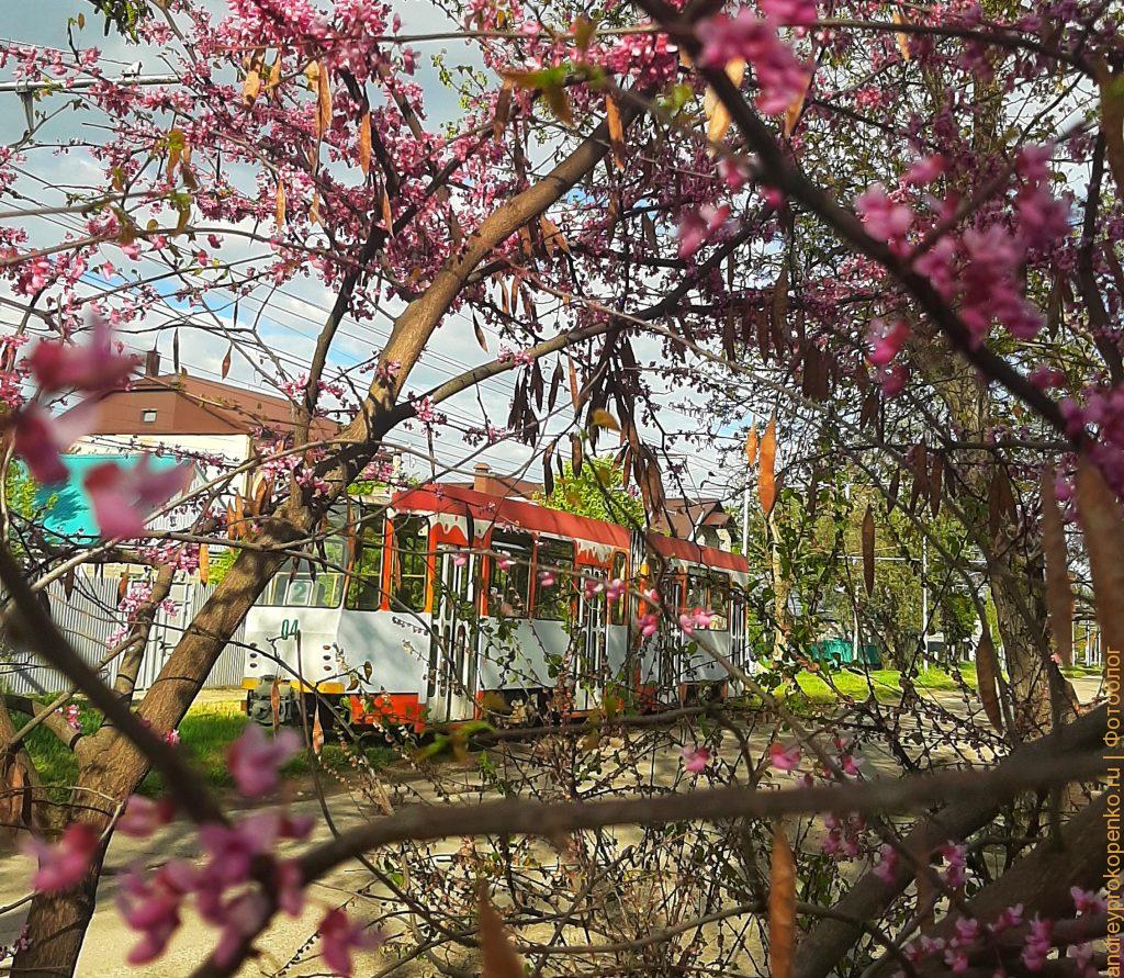 Необычные виды в Пятигорске