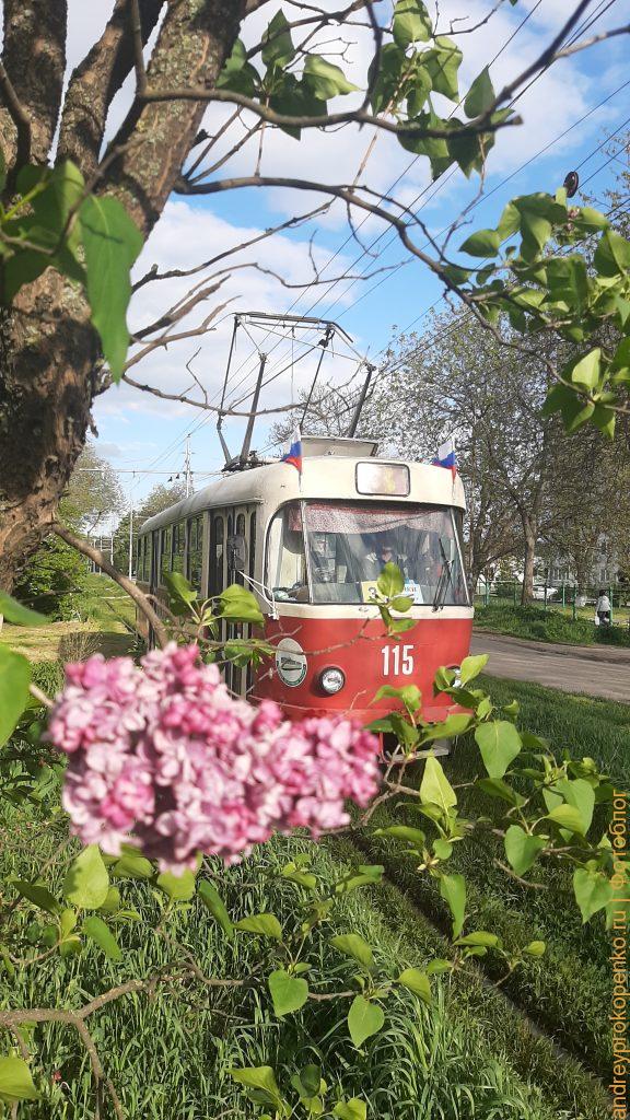 Весенний Пятигорский трамвай / фото дня
