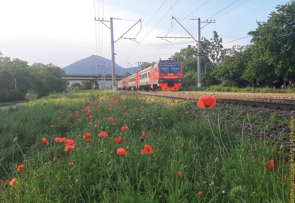 Закат, маки, электрички и гора Бештау
