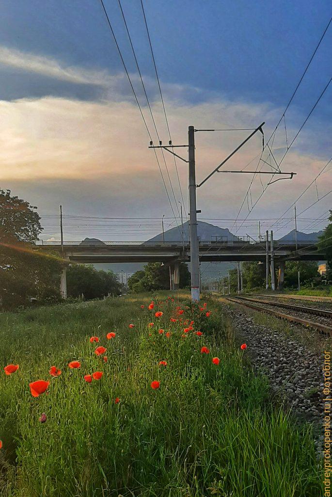 Закат, маки, электрички и гора Бештау