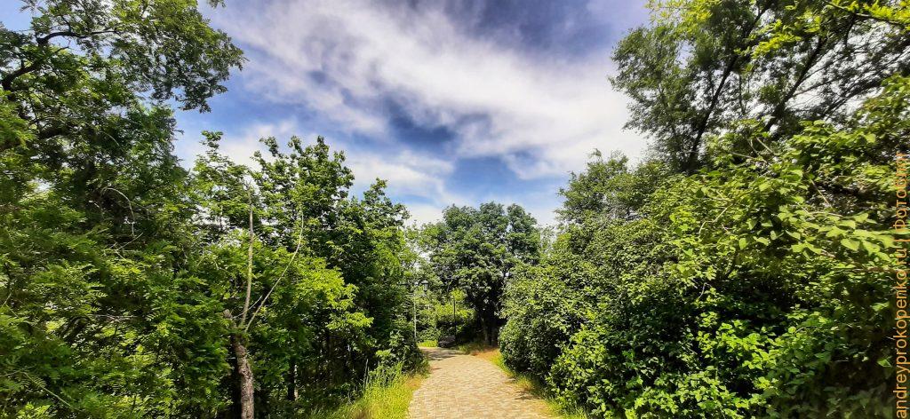 Летний парк Цветник в Пятигорске