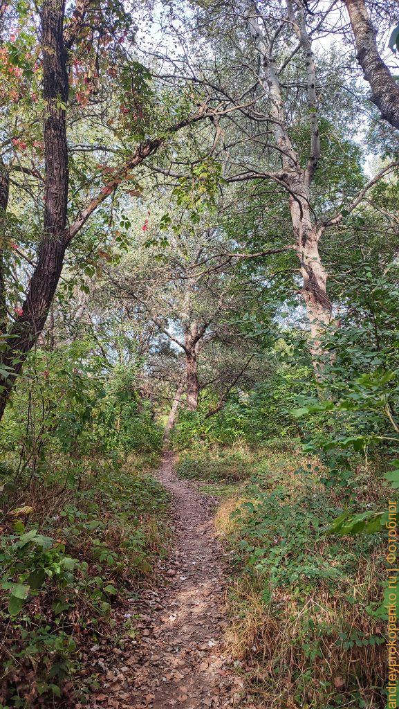 Осенняя прогулка по берегу Подкумка в Пятигорске