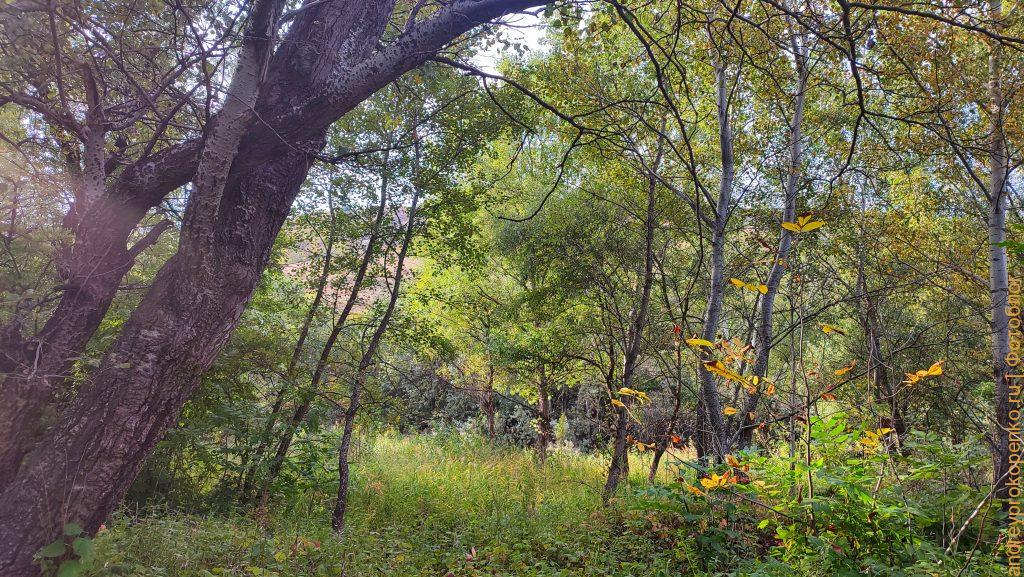 Осенняя прогулка по берегу Подкумка в Пятигорске