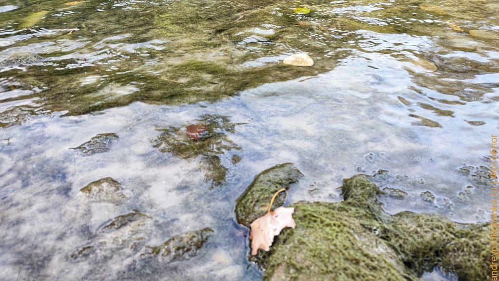 Осенняя прогулка по берегу Подкумка в Пятигорске