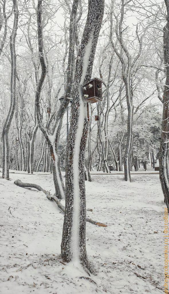 Зимняя красота в Пятигорске