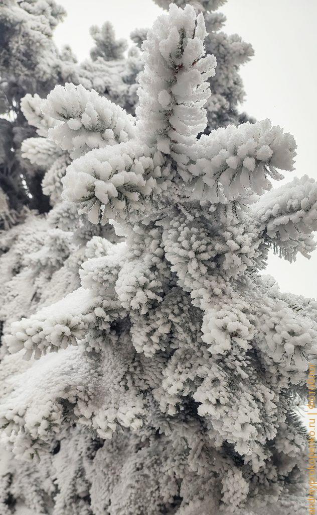 Зимняя красота в Пятигорске