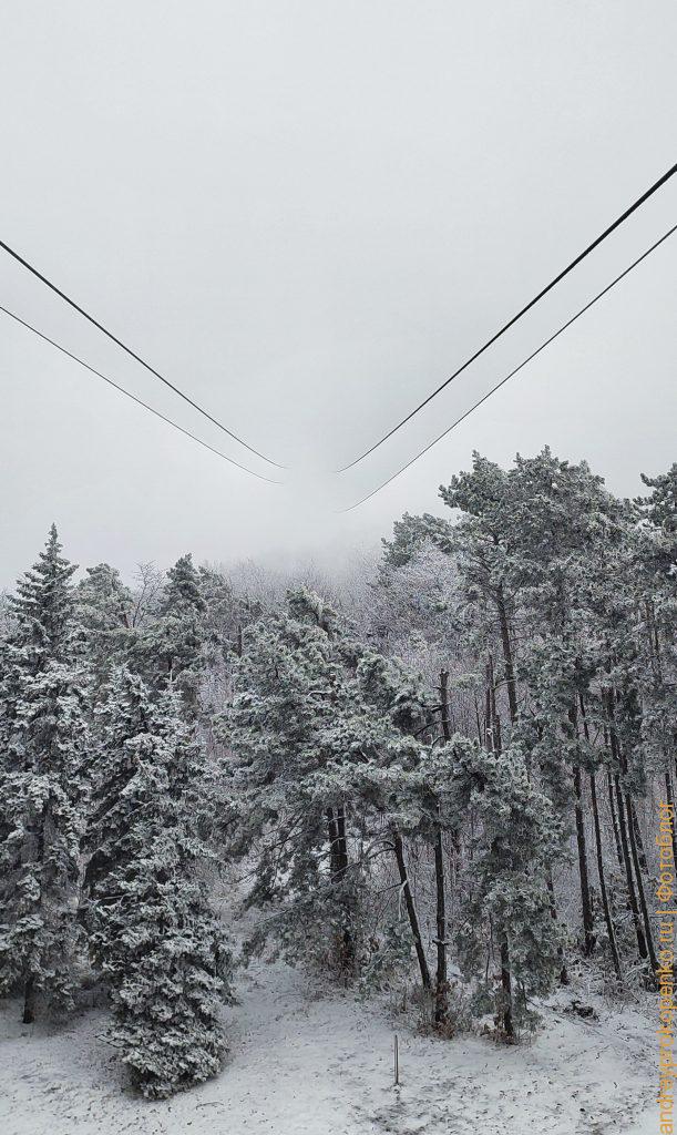 Зимняя красота в Пятигорске