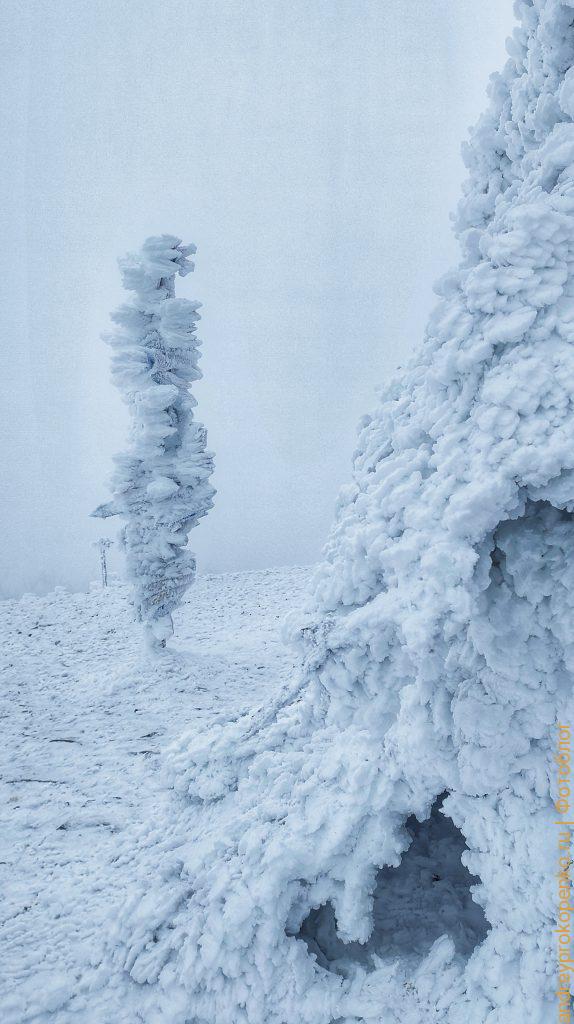 Зимняя красота в Пятигорске